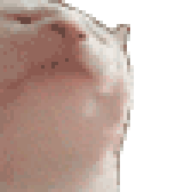 bhoob
