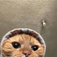 banjidhope