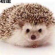 ccy