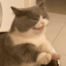 MuxiFx